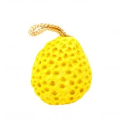 The Crème Shop Natural Sponge